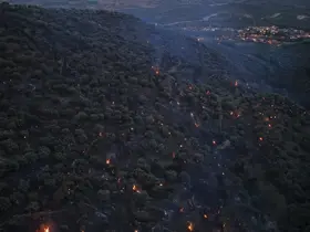 Bozdoğan yangını büyük ölçüde kontrol altına alındı
