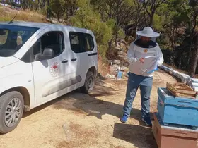 Bozdoğan’da arıcılara yönelik destek çalışmaları sürüyor

