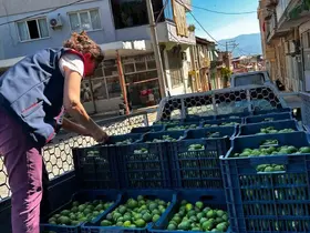 Bozdoğan’da İlek denetimleri aralıksız sürüyor
