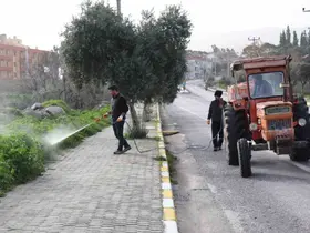 Bozdoğan’da yabani ot mücadelesi
