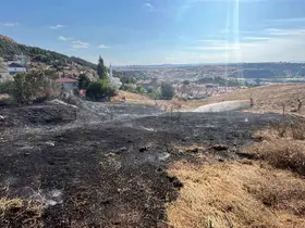Bozüyük’te otluk yangını

