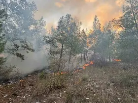 Bozyazı’da orman yangını kontrol altına alındı

