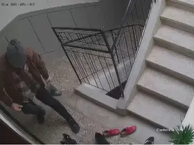 Bu da marka takıntılı hırsızlık şüphelisi
