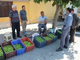 Bu pazarda meyve değil sinek satılıyor
