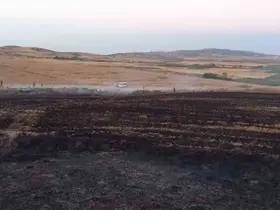 Buğday tarlasında çıkan yangın ekiplerin müdahalesiyle söndürüldü
