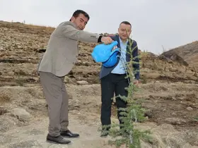 Bünyan’da Milli Ağaçlandırma Günü’nde fidanlar toprakla buluştu
