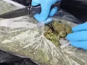 Burdur'da 36 kilo skunk maddesi ele geçirildi, operasyon görüntülüleri film sahnelerini aratmadı