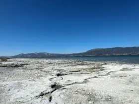Burdur Gölü’nde balık tutmayı hayal ederken kuruyan gölde otlayan keçileri izliyor
