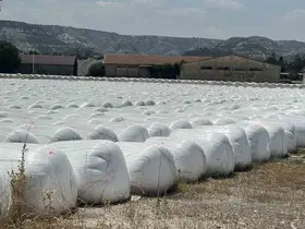 Burdur Şeker Fabrikası’na ’kötü koku’ cezası

