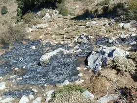 Burdur’da çalılık yangını söndürüldü
