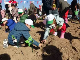 Burdur’da "Geleceğe nefes insanlığa nefes" diyerek 13 bin fidan toprakla buluşturuldu
