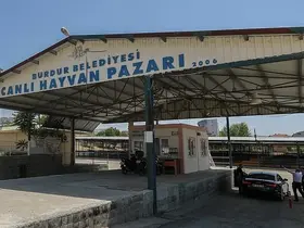 Burdur’da hayvan pazarı şap hastalığı nedeniyle geçici olarak kapatıldı
