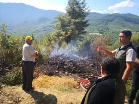 Burdur’da orman yangını ekiplerin müdahalesiyle söndürüldü
