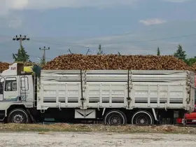 Burdur’da yaklaşık 700 bin ton şeker pancarı işlenecek
