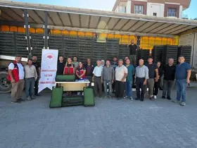 Burhaniye’de çiftçilere 300 bin 300 adet marul fidesi dağıtıldı
