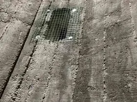 Burhaniye’de çıkılmayan minareler kargalara mesken oldu
