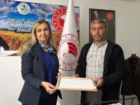 Burhaniye’de ipek böcekçiliğinde ilk kozalar hasat edildi
