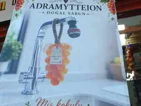 Burhaniye’de Salkım Sabun ilgi gördü
