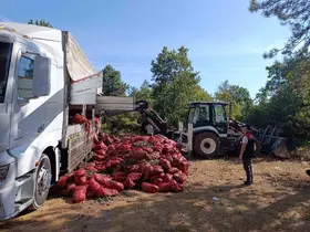 Bursa’da 8 ton midye ele geçirildi

