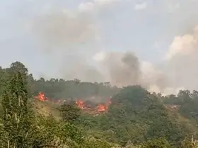 Bursa’da makilik alanda yangın

