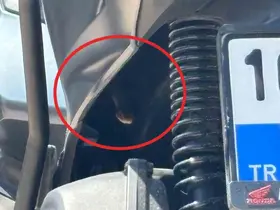 Bursa’da motosikletten çıkan yılan şoke etti
