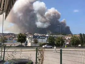 Bursa’da orman yangını
