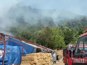 Bursa’da ormanlık alanda yangın

