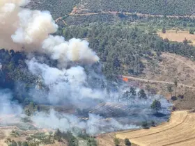 Bursa’da otluk alanda çıkan yangın ormana sıçradı
