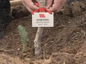 Bursa’da şehitler anısına fidan dikildi
