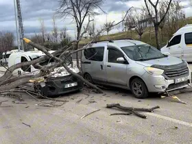Bursa’da seyir halindeki araçların üzerine ağaç devrildi
