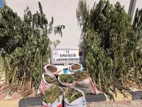 Bursa’da uyuşturucu operasyonu: 22 kilo 675 gram esrar ele geçirildi

