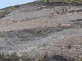 Bursa’daki orman yangını söndürüldü
