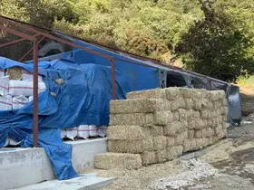 Bursa’daki orman yangınında 1 kişi gözaltına alındı

