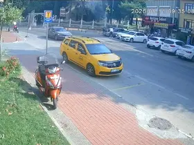 Bursa’nın turistik bölgesinde yangın paniği
