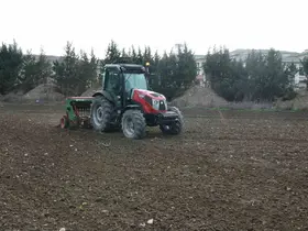 Büyükçekmece’de atıl araziler buğdayla buluştu
