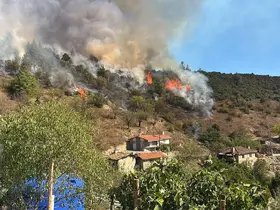 Büyükorhan’da orman yangını: Ekipler bölgeye sevk edildi
