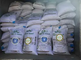 Büyükşehir ile tarlalar bereketleniyor
