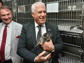 Büyükşehir’den can dostlara şefkat eli
