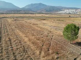 BYD’nin Manisa’daki fabrika sahasında sessizlik sürüyor
