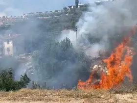 Çalılık alanda başlayan yangın büyümeden söndürüldü