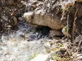 Çameli’nde yağışlar sonrası yer altı suları yüzeye çıktı
