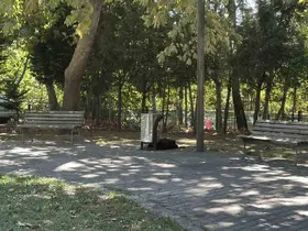 Cami parkındaki bankta şüpheli ölüm
