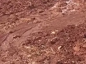 Çamura saplanan eşeği itfaiye ekipleri kurtardı
