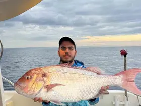 Çanakkale’de balıkçılar 12 kilogramlık mercan balığı yakaladı
