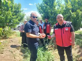 Çanakkale’de bitkisel üretim projeleri değerlendirildi
