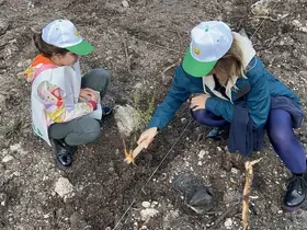 Çanakkale’de Milli Ağaçlandırma Günü çerçevesinde fidanlar toprakla buluştu
