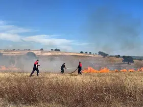 Çanakkale’de özel bakım merkezi yakınlarında korkutan ot yangını
