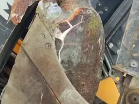 Çanakkale’de sahile ölü caretta caretta vurdu
