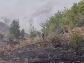 Çankırı’da çıkan arazi yangını söndürüldü
