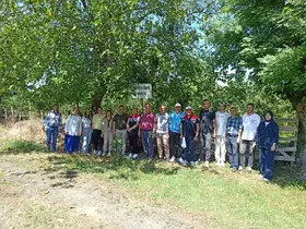 Çarşamba’da 2026 yılı fındık rekolte sayım çalışmaları tamamlandı
